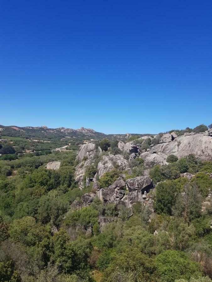 Appartamento Monte Mare أرتْساكينا المظهر الخارجي الصورة